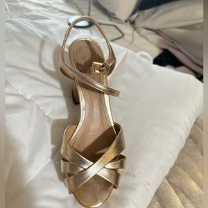 Gold Schutz Platforms